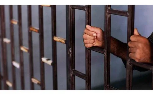 "غرام الأفاعي".. ننشر اعترافات قاتلة زوجها أثناء علاقتهما الزوجية بالجيزة