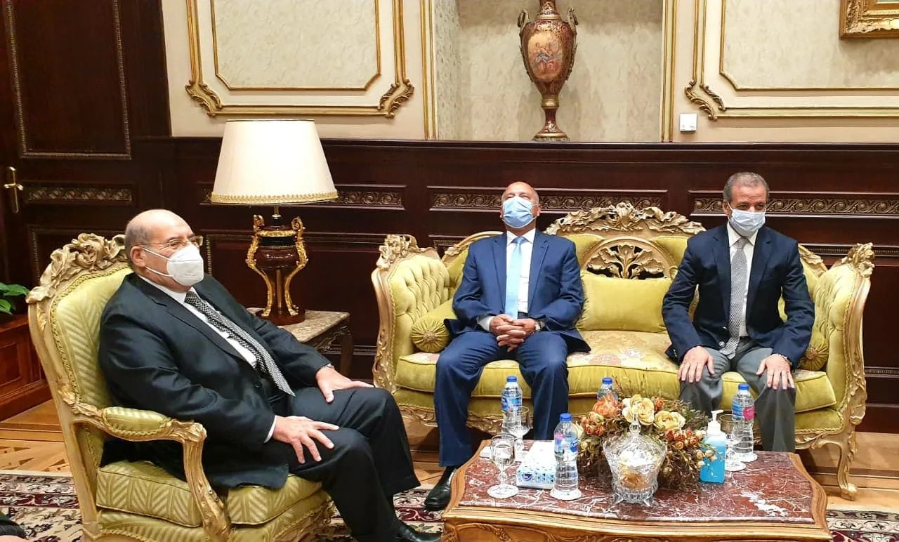 رئيس "الشيوخ" يستقبل وزير النقل للتهنئة بتولي رئاسة المجلس