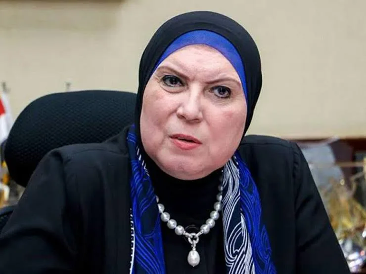 تطور ملموس.. التجارة والصناعة: 21.8 مليار دولار حجم الاستثمارات الأمريكية في مصر