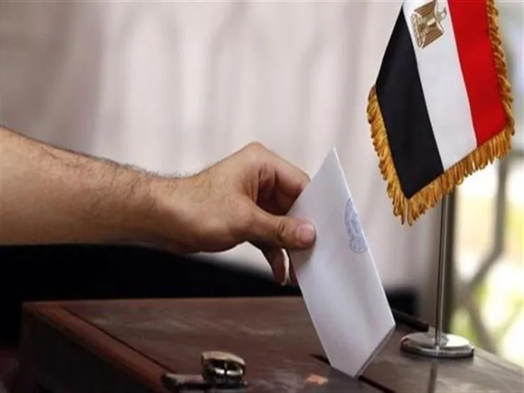 مؤشرات أولية.. فوز "شهاب وعيسى وبدير" بدائرة طنطا في الغربية