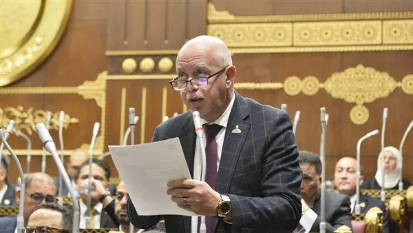النائب حازم الجندي يطالب باستراتيجية لتعميق التصنيع المحلي وإنقاذ المصانع المتعثرة ودعم التعليم التكنولوجي