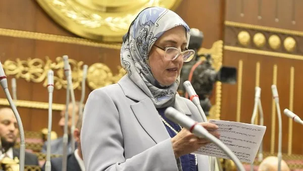 النائبة زينب فهيم تعلن موافقتها على خطة التنمية 2026/2027 وتؤكد أهمية دعم الاستثمار والحماية الاجتماعية