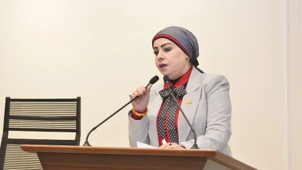 النائبة جيهان شاهين: نعتز بالدور المصري في دعم الأمن والسلم الدوليين