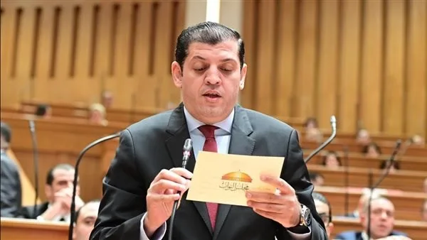 النائب باسم بهاء يتقدم بطلب إحاطة بشأن أزمة الصرف الصحي في شربين