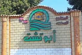 "الذباب الإلكتروني" يحلق في انتخابات الإعادة بين الأربعة الكبار بدائرة أبوتشت وفرشوط في قنا