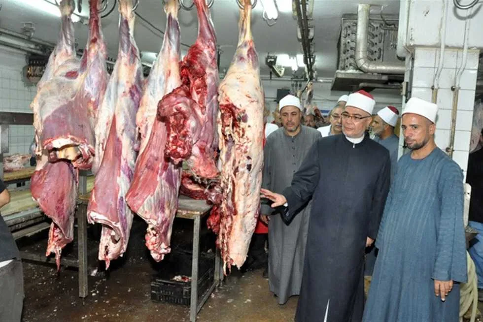 كله لله..."الأوقاف" تستكمل توزيع 15طنًا من لحوم الأضاخي على الأسر الاولى بالرعاية