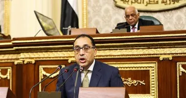 الحكومة تكشف حقيقة استيراد شحنة لحوم مصابة بكورونا