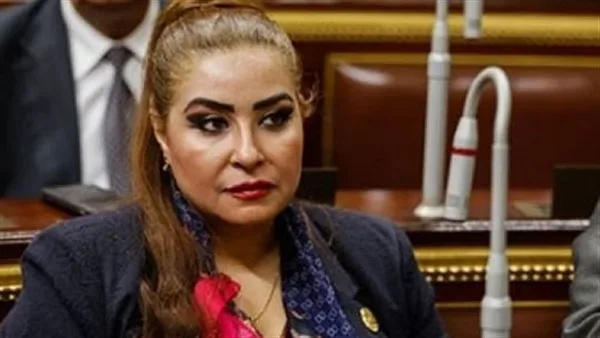 مصر مسروقة .. النائبة غادة عجمي: ربنا يحميك ياريس