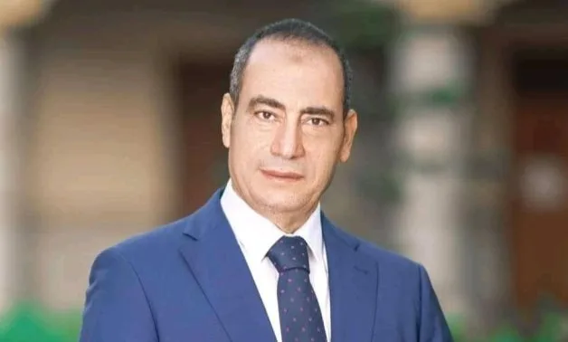 النائب مجاهد نصار: لقاء الرئيس السيسي برئيس بنك التنمية الأفريقي يدعم رؤية مصر 2030