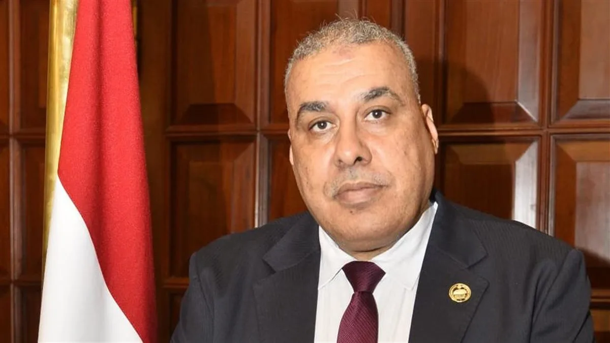 النائب محمد أبو النصر: لقاء الرئيس السيسي مع أمين منظمة التعاون الاقتصادي يعزز الثقة الدولية