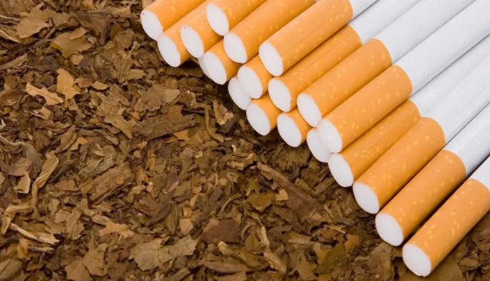 دون موافقة البرلمان .. الشرقية للدخان ترفع أسعار 7 أنواع من السجائر