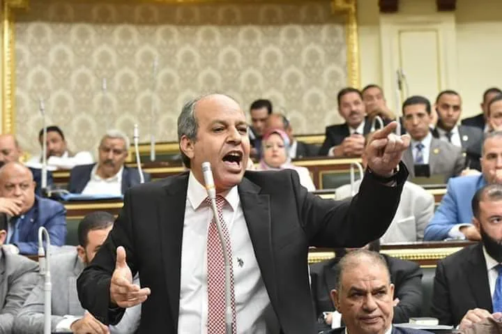 برلماني يؤيد قرار غرامة المتخلفين عن المشاركة بالأنتخابات
