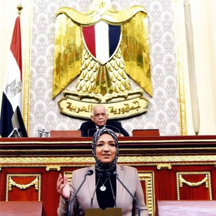 استقالة منتصف الليل .. النائبة مي محمود خارج الحزب العربي للعدل والمساواة