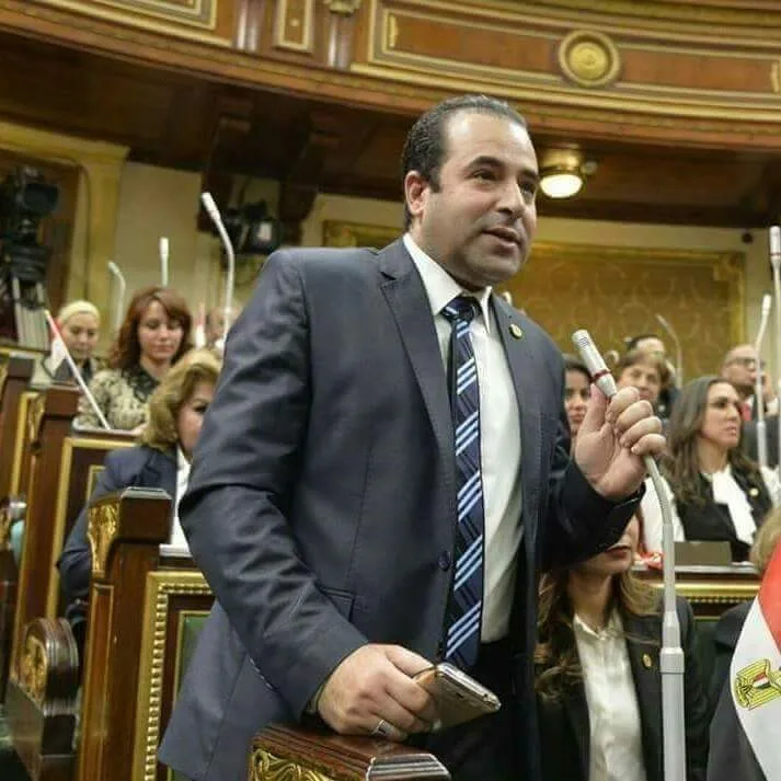 بيدي لا بيد عمرو .. النائب احمد بدوي يعلن إنهاء مشروع الغاز: مجهودي