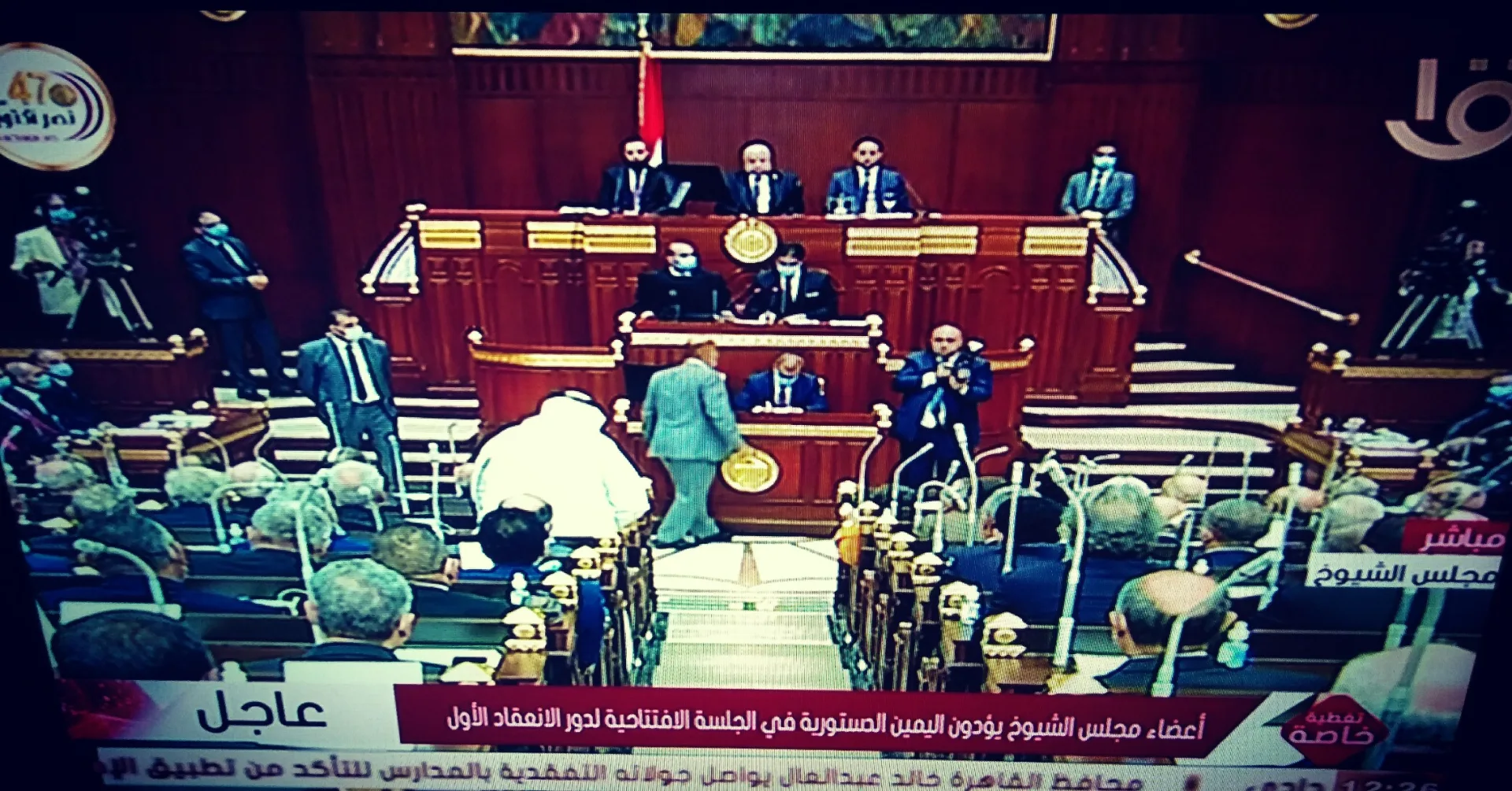 لم تلتزم بالنص .. النائبة هالة كمال تُخطئ في أداء اليمين الدستورية بمجلس الشيوخ