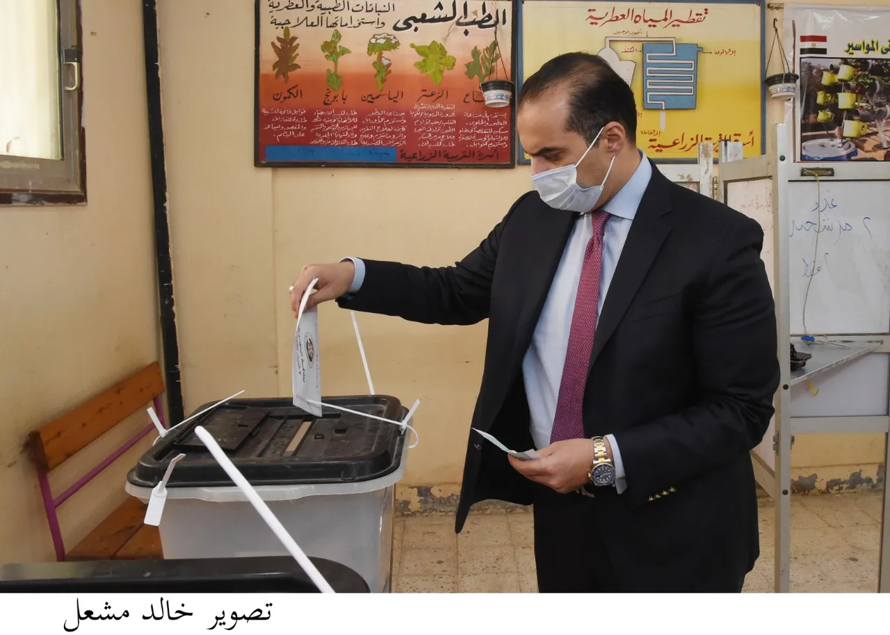 المستشار محمود فوزي يؤكد: مجلس النواب كان حكيمًا للحفاظ على إنجازات الدولة (فيديو)