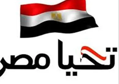 صندوق تحيا مصر يتوجه بالشكر لـ"العبار" لمساهماته في احتفالية الصندوق بإضاءة برج خليفة