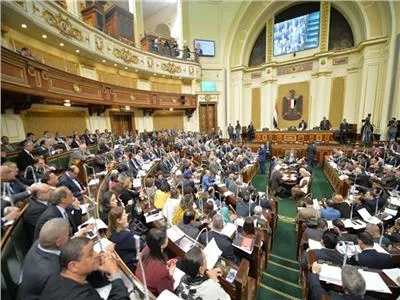 "ياللي اخدتيها بالتزوير" و"يا مساحة السلالم".. ماذا قال النواب لبعضهم في أول جلسة بعد الانتخابات؟