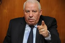 المرة الجاية.. "حزب المصري" بعد رفض قائمة النيل: نسعى لتقديم نواب متميزين