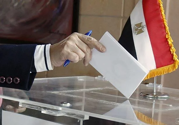 صوتك أمانة.. المصريون بالخارج يقولون رأيهم في مرشحي مجلس الشيوخ