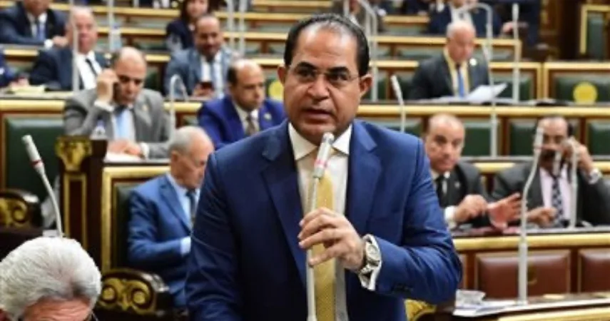 النائب سليمان وهدان: زيارة الرئيس السيسي لدول الخليج تُجسد وحدة المصير العربي وتعزز مسار الشراكة الاستراتيجية