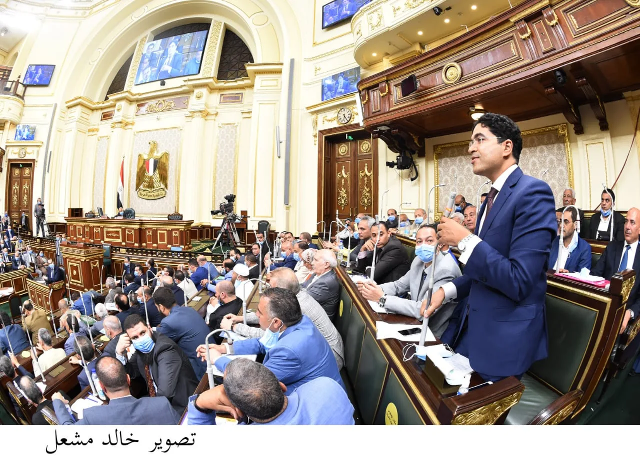 حماية وضمانات.. البرلمان يوافق علي مشروع قانون رعاية المريض النفسي