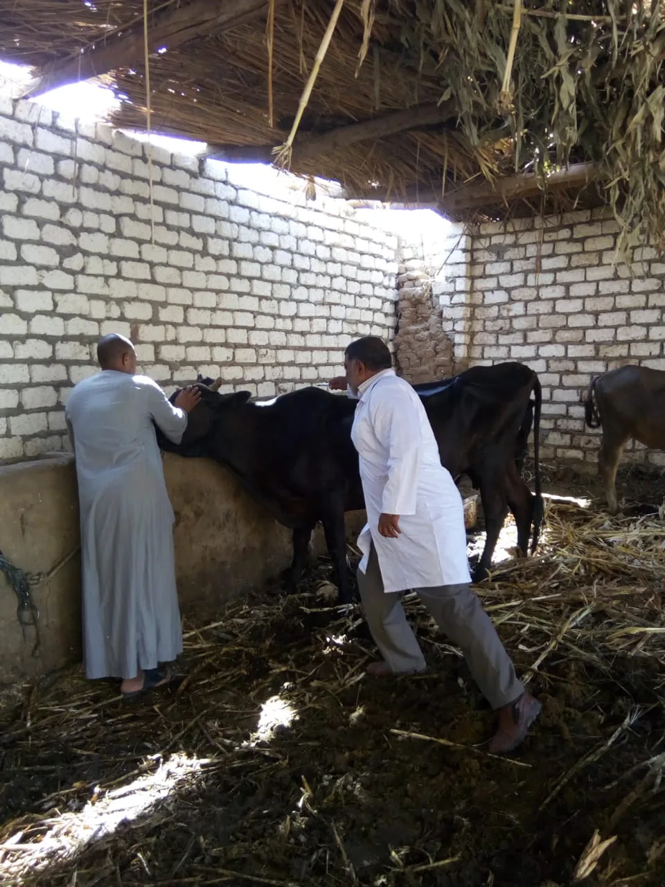 تحرك حكومي مفاجئ لمحاربة الأوبئة (التفاصيل بالصور)